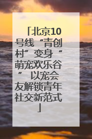 北京10号线“青创村”变身“萌宠欢乐谷” 以宠会友解锁青年社交新范式