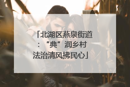 北湖区燕泉街道：“典”润乡村 法治清风拂民心