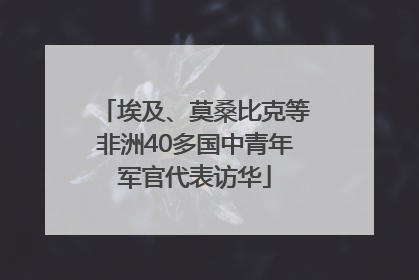 埃及、莫桑比克等非洲40多国中青年军官代表访华