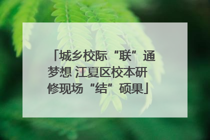 城乡校际“联”通梦想 江夏区校本研修现场“结”硕果