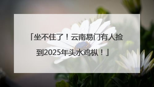 坐不住了！云南易门有人捡到2025年头水鸡枞！