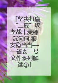 坚决打赢“三夏”攻坚战丨麦穗沉甸甸 粮安稳当当——省委一号文件系列解读①