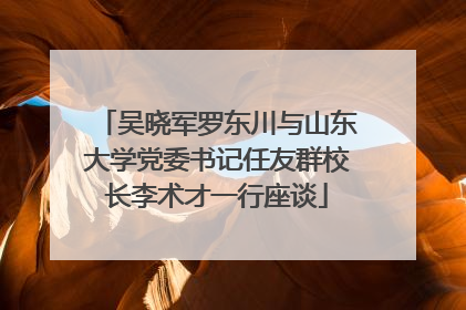 吴晓军罗东川与山东大学党委书记任友群校长李术才一行座谈