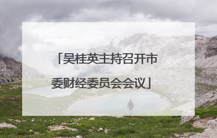 吴桂英主持召开市委财经委员会会议