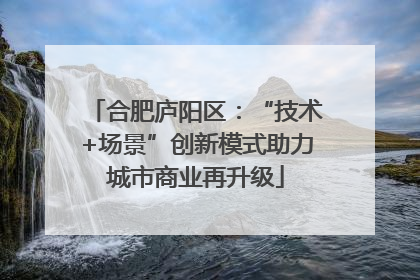 合肥庐阳区：“技术+场景”创新模式助力城市商业再升级