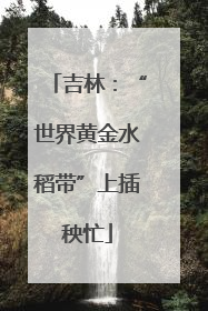 吉林：“世界黄金水稻带”上插秧忙