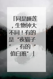 同是睡莲，生物钟大不同！有的是“夜猫子”，有的“值白班”