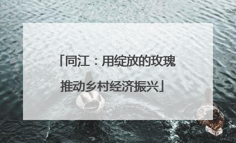 同江：用绽放的玫瑰 推动乡村经济振兴