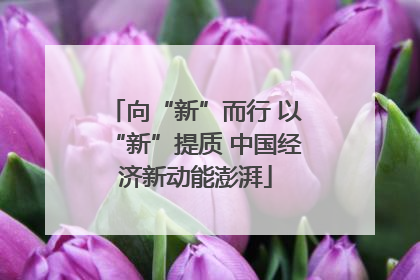 向“新”而行 以“新”提质 中国经济新动能澎湃