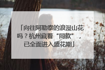 向往阿勒泰的浪漫山花吗？杭州藏着“同款”，已全面进入盛花期