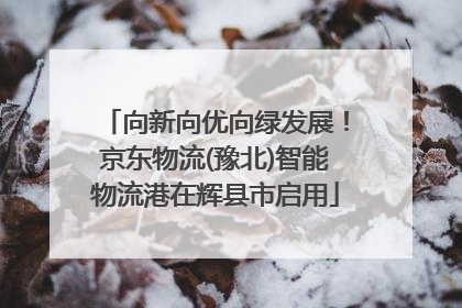 向新向优向绿发展！京东物流(豫北)智能物流港在辉县市启用