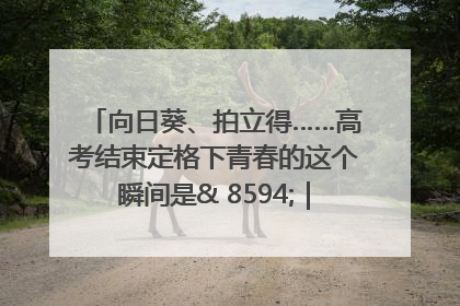 向日葵、拍立得……高考结束定格下青春的这个瞬间是& 8594;｜2025四川高考