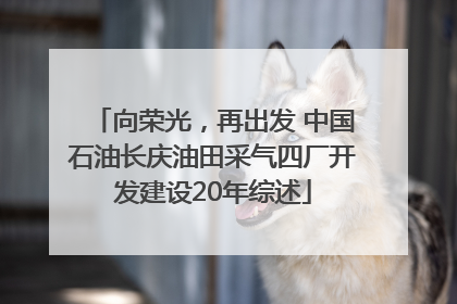 向荣光，再出发 中国石油长庆油田采气四厂开发建设20年综述