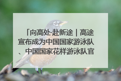 向高处·赴新途｜高途宣布成为中国国家游泳队、中国国家花样游泳队官方学习合作伙伴