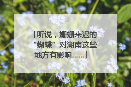 听说，姗姗来迟的“蝴蝶”对湖南这些地方有影响……