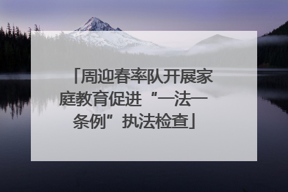 周迎春率队开展家庭教育促进“一法一条例”执法检查