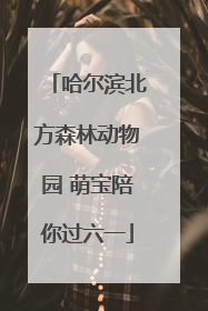 哈尔滨北方森林动物园 萌宝陪你过六一