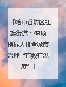 哈市香坊区红旗街道：43项指标大排查城市治理“有数有温度”
