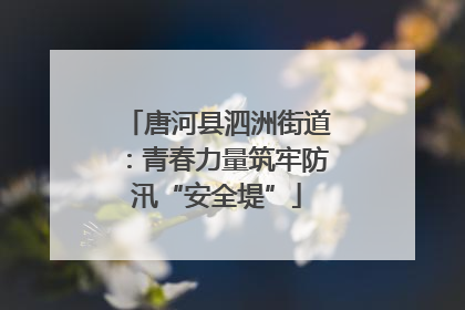 唐河县泗洲街道：青春力量筑牢防汛“安全堤”