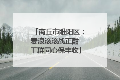 商丘市睢阳区：麦浪滚滚战正酣 干群同心保丰收