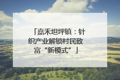 嘉禾坦坪镇：针织产业解锁村民致富“新模式”