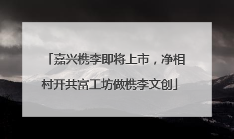 嘉兴槜李即将上市，净相村开共富工坊做槜李文创