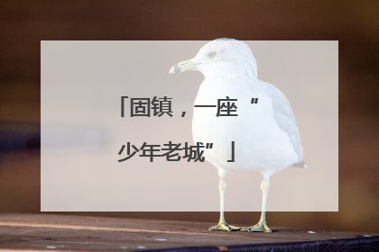 固镇，一座“少年老城”