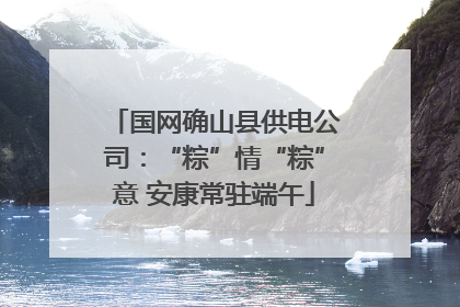 国网确山县供电公司：“粽”情“粽”意 安康常驻端午
