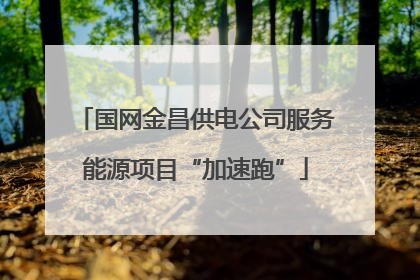 国网金昌供电公司服务能源项目“加速跑”