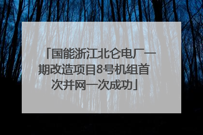 国能浙江北仑电厂一期改造项目8号机组首次并网一次成功