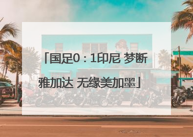 国足0∶1印尼 梦断雅加达 无缘美加墨