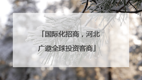 国际化招商，河北广邀全球投资客商