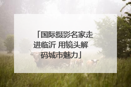 国际摄影名家走进临沂 用镜头解码城市魅力