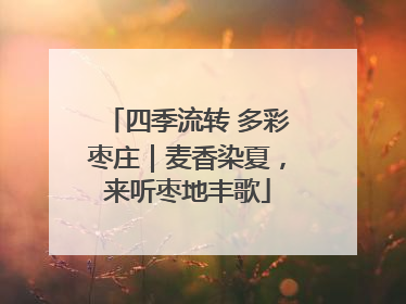 四季流转 多彩枣庄｜麦香染夏，来听枣地丰歌