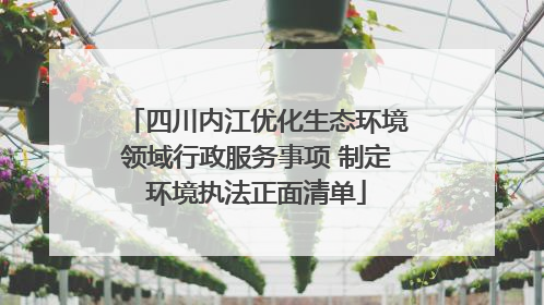 四川内江优化生态环境领域行政服务事项 制定环境执法正面清单