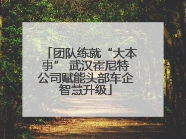 团队练就“大本事” 武汉霍尼特公司赋能头部车企智慧升级