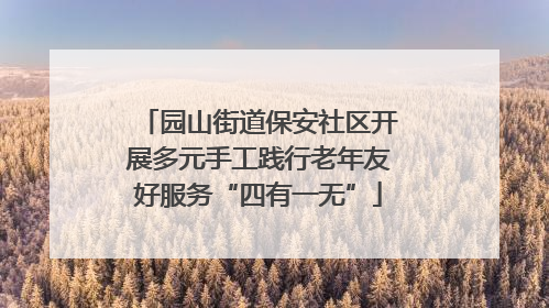 园山街道保安社区开展多元手工践行老年友好服务“四有一无”