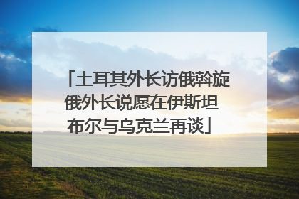 土耳其外长访俄斡旋 俄外长说愿在伊斯坦布尔与乌克兰再谈