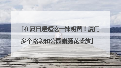 在夏日邂逅这一抹明黄！厦门多个路段和公园腊肠花盛放