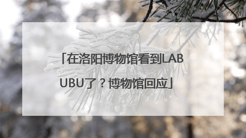 在洛阳博物馆看到LABUBU了？博物馆回应