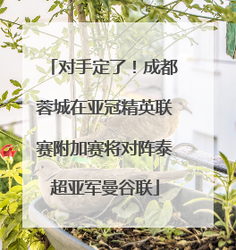 对手定了！成都蓉城在亚冠精英联赛附加赛将对阵泰超亚军曼谷联
