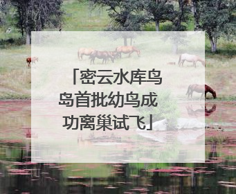 密云水库鸟岛首批幼鸟成功离巢试飞
