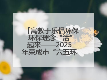 寓教于乐倡环保 环保理念“活”起来——2025年荣成市“六五环境日”宣传活动圆满举行