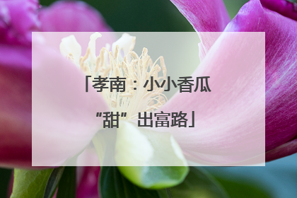 孝南：小小香瓜 “甜”出富路