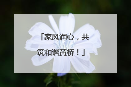家风润心，共筑和谐黄桥！