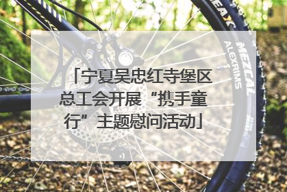 宁夏吴忠红寺堡区总工会开展“携手童行”主题慰问活动