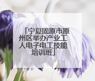 宁夏固原市原州区举办产业工人电子电工技能培训班