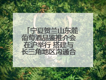 宁夏贺兰山东麓葡萄酒品鉴推介会在沪举行 搭建与长三角地区沟通合作的桥梁