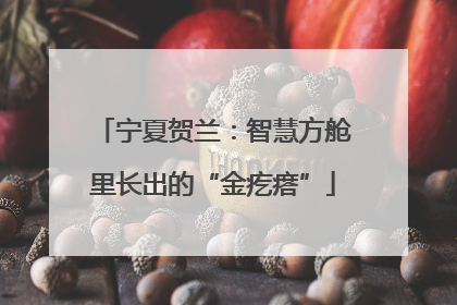 宁夏贺兰：智慧方舱里长出的“金疙瘩”