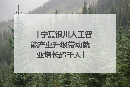 宁夏银川人工智能产业升级带动就业增长超千人